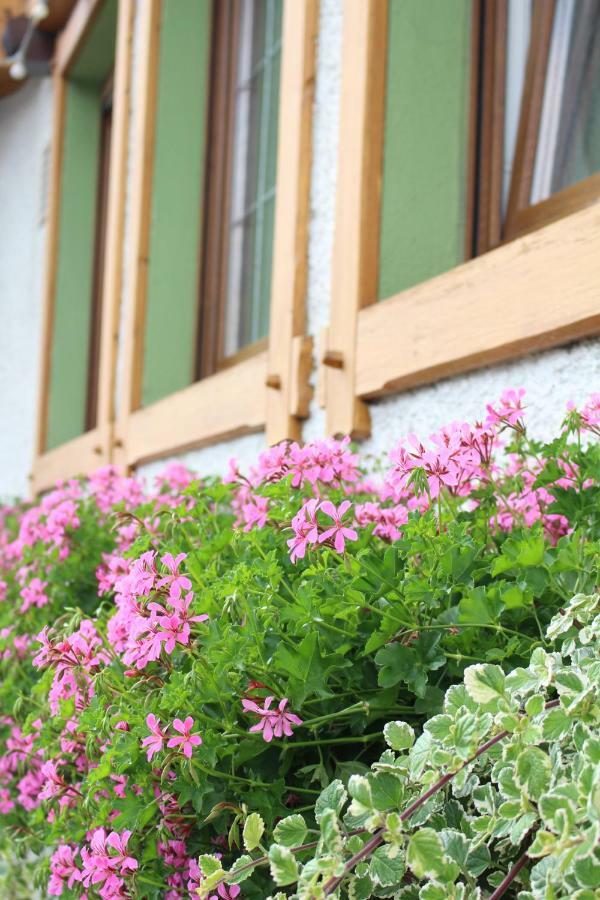Landgasthof Ritter Orsingen-Nenzingen 외부 사진